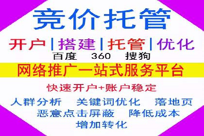 解析SEM竞价代运营公司的效果：ROI大幅提升的秘诀